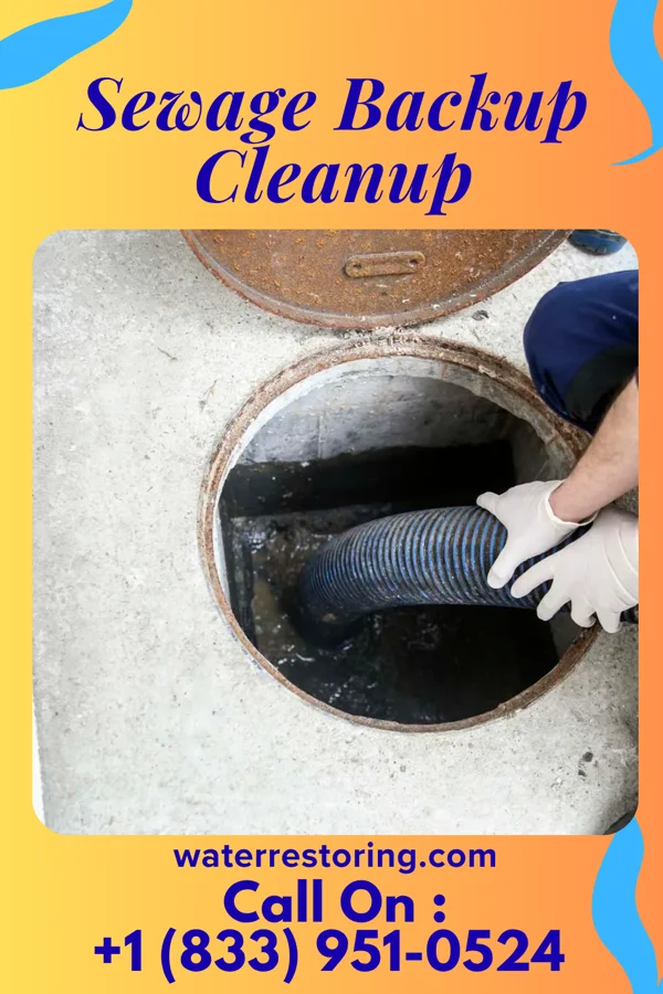 Sewage Backup Cleanup in Charter Oak, CA